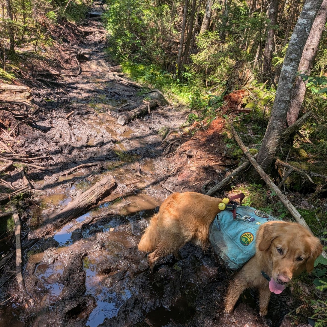 muddy trail