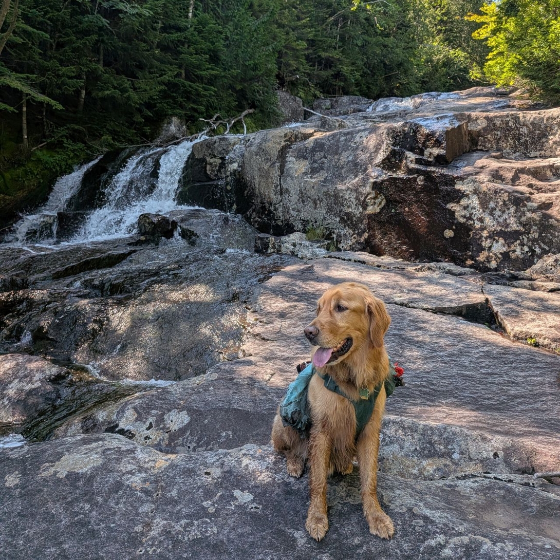 the  trail