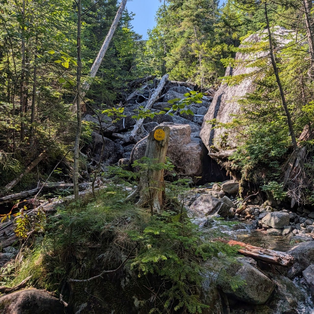the trail