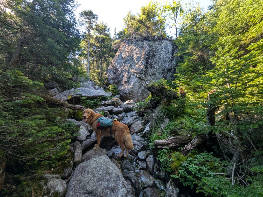 big boulder
