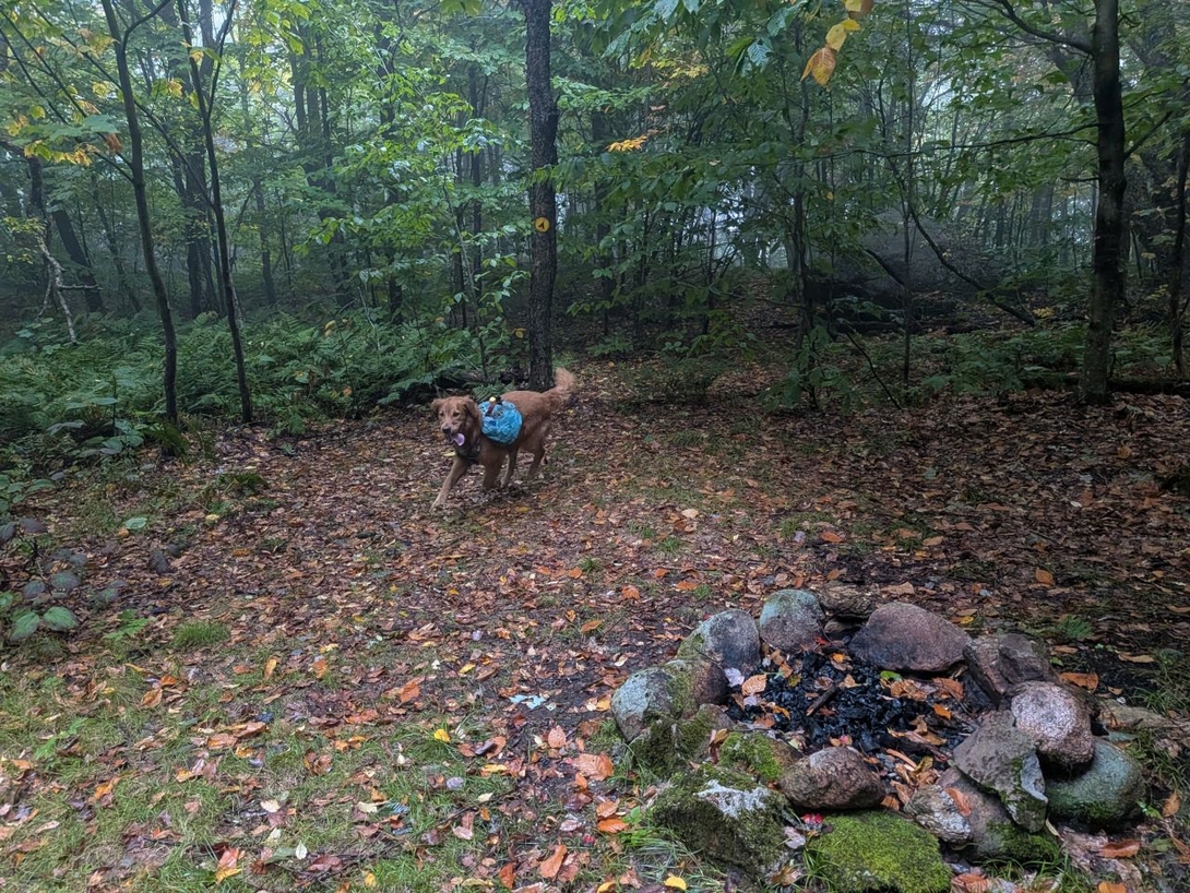 campsite