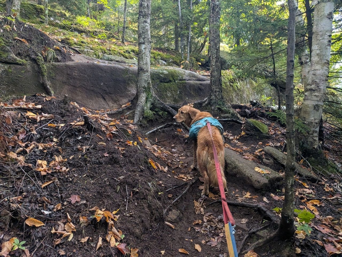 Some eroded ascents