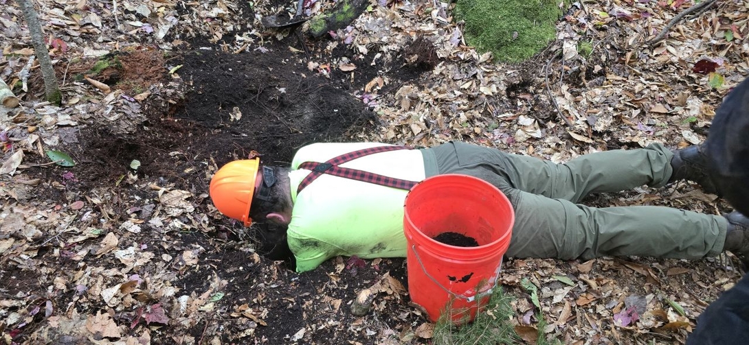 digging a hole