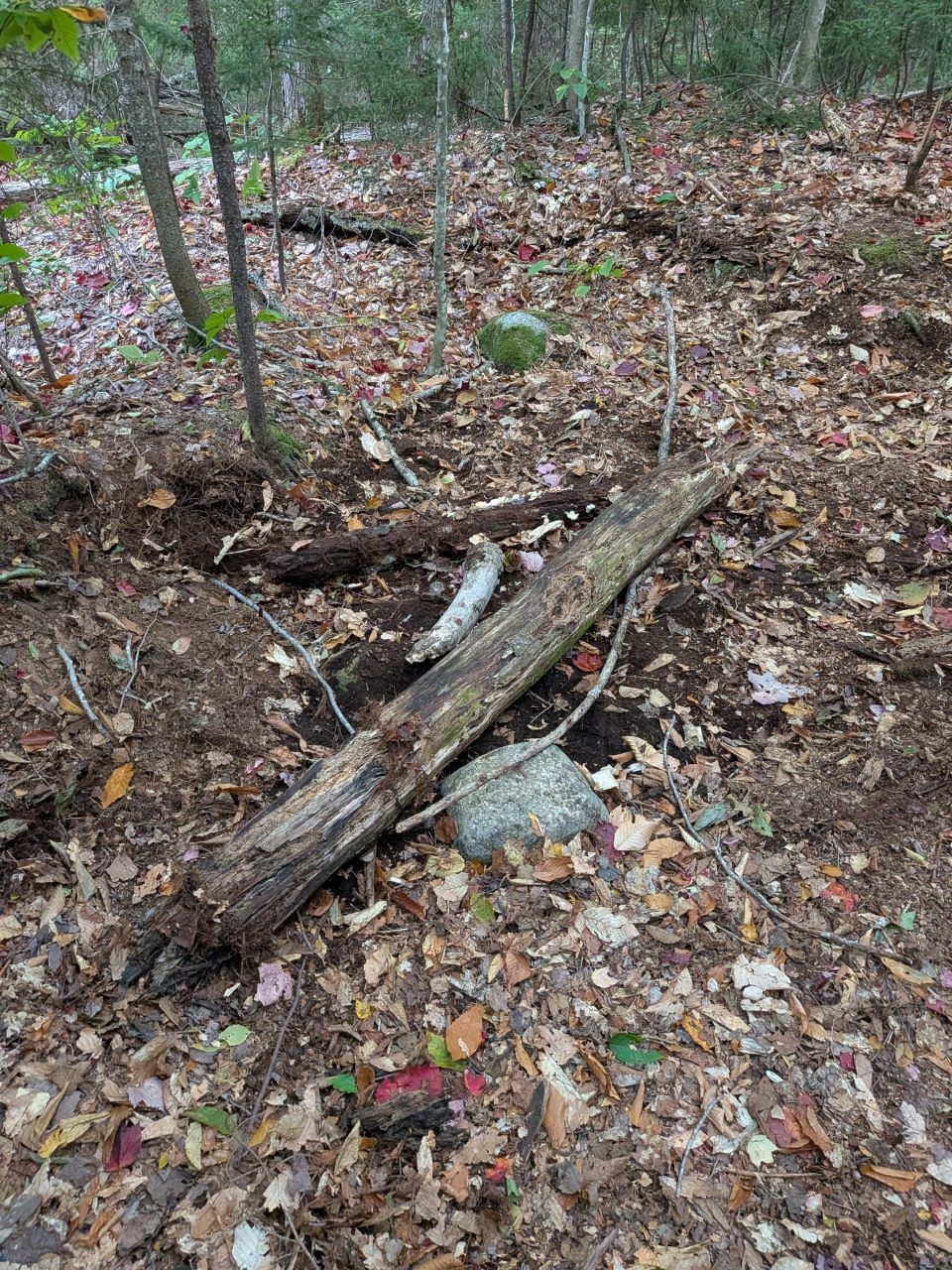 covered up hole