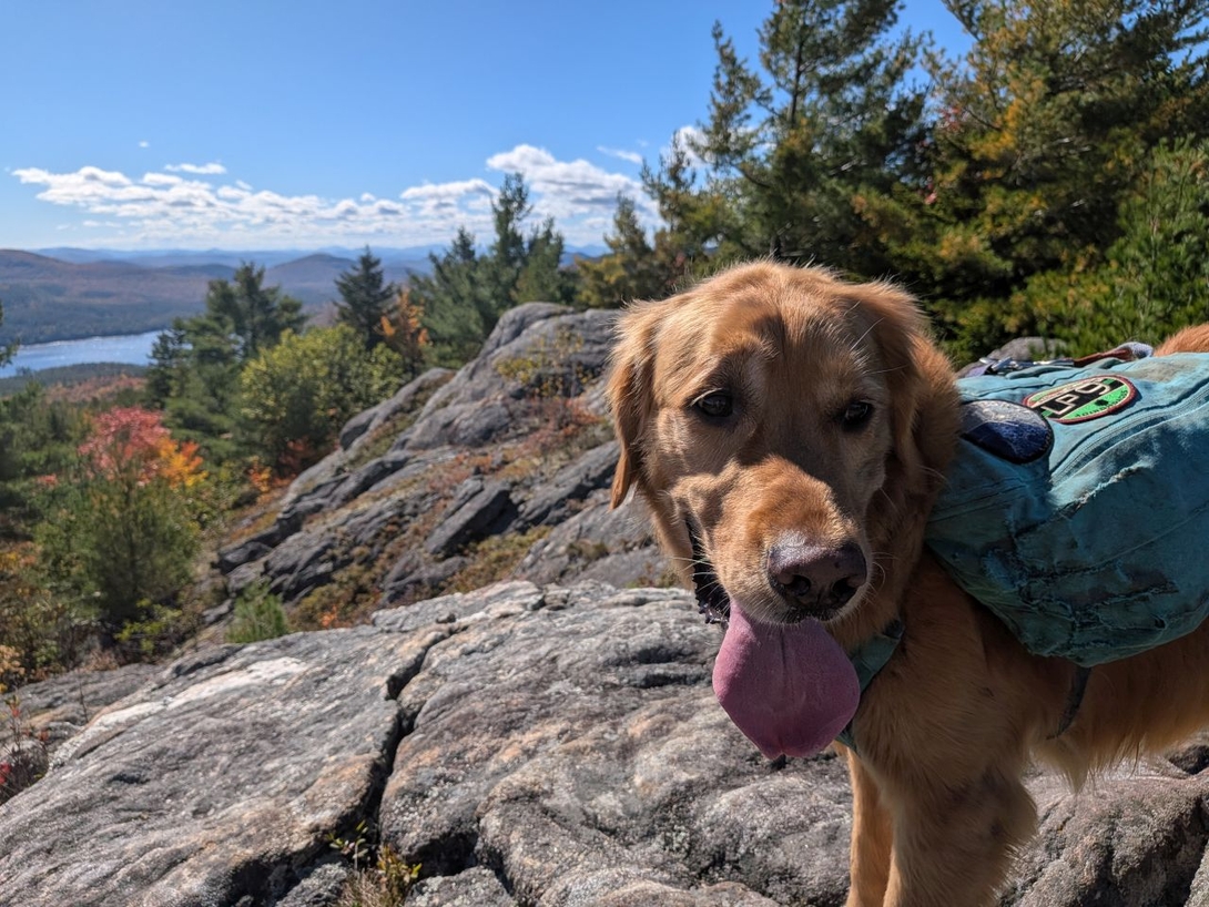 The summit