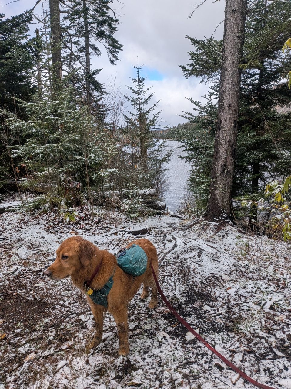 lovely spot