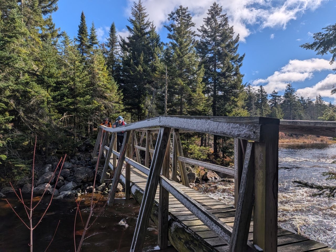 janky crossing
