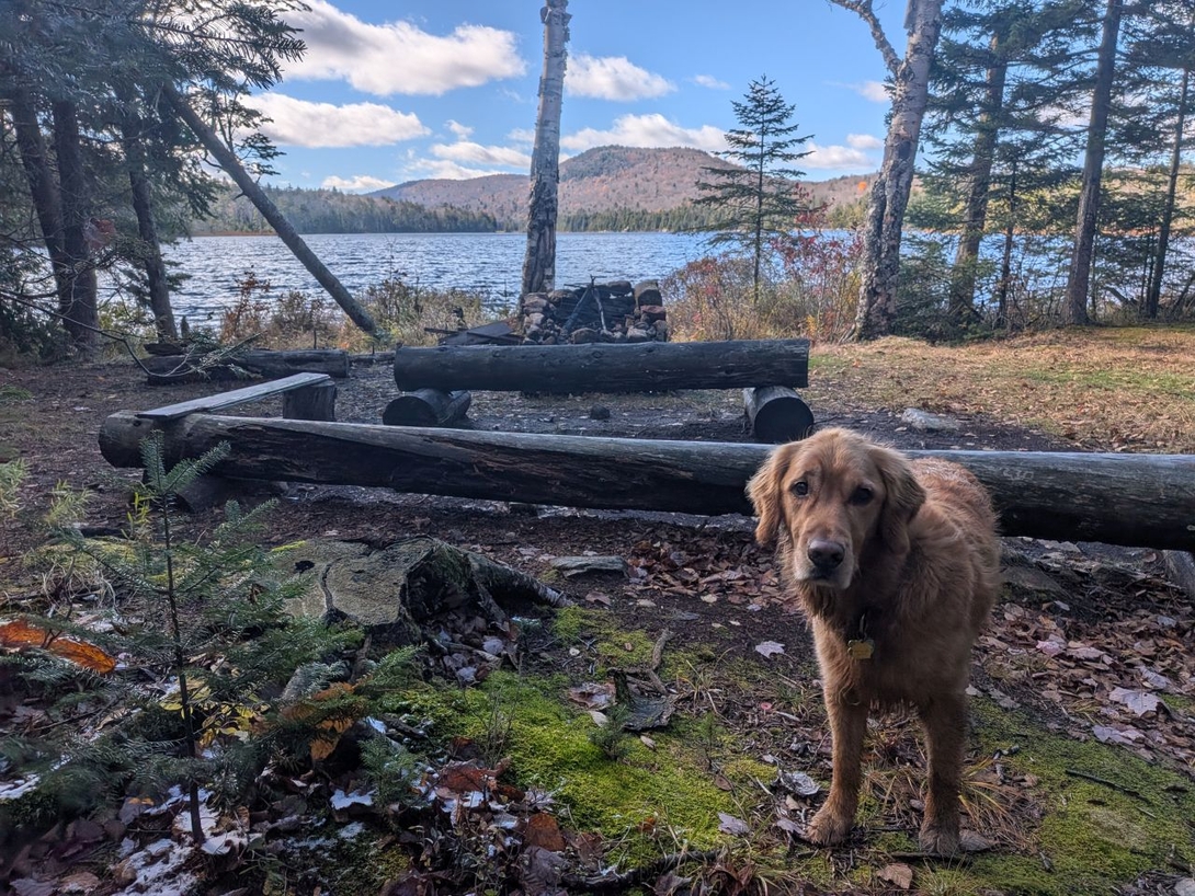 Down by the lake