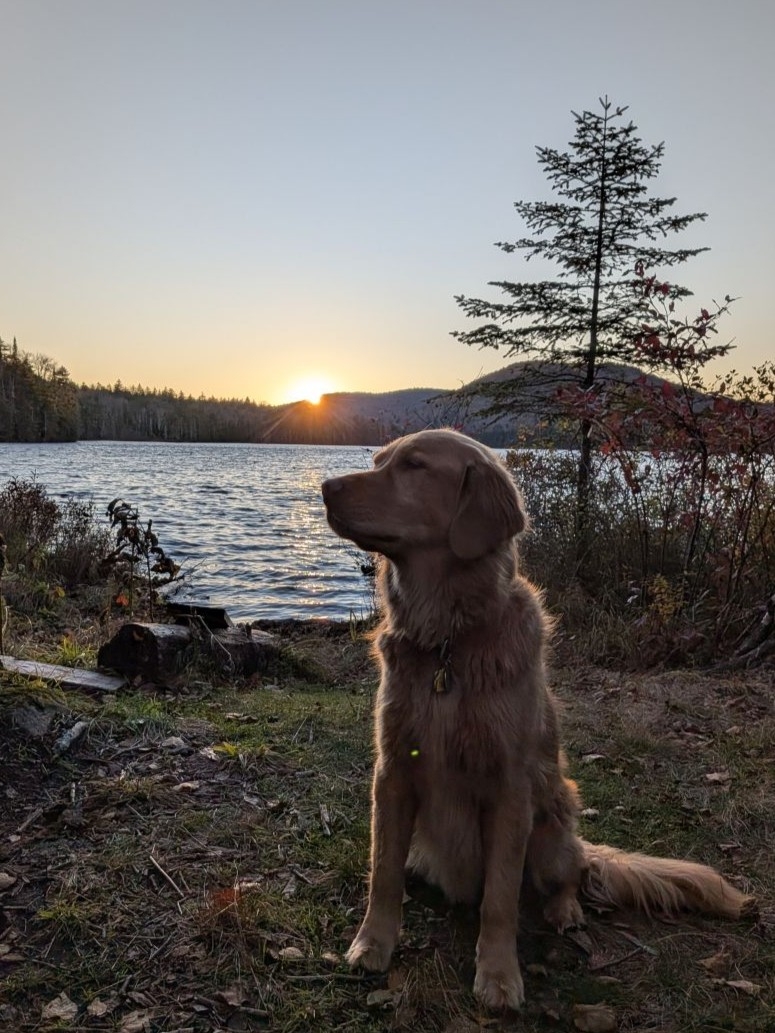 at sunset