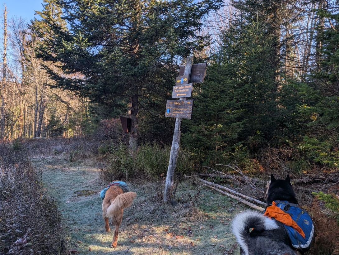 reroute start and trail register