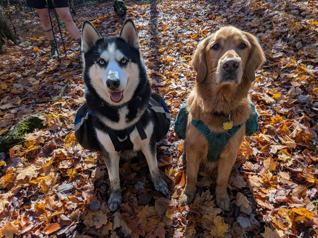 Did you say "lunch"?