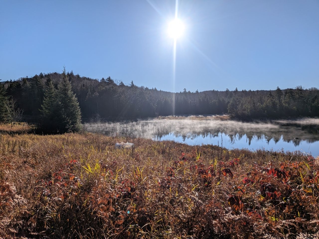lifting mist over cedar lakes