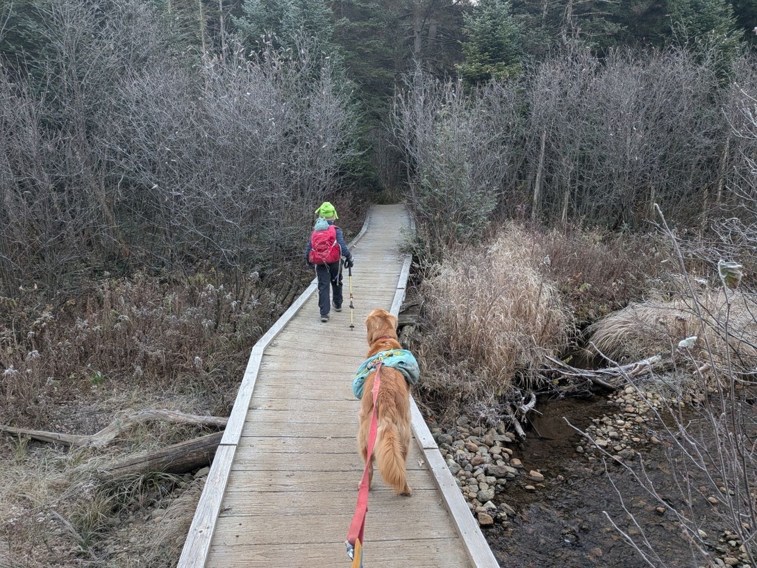 crossing macintyre brook