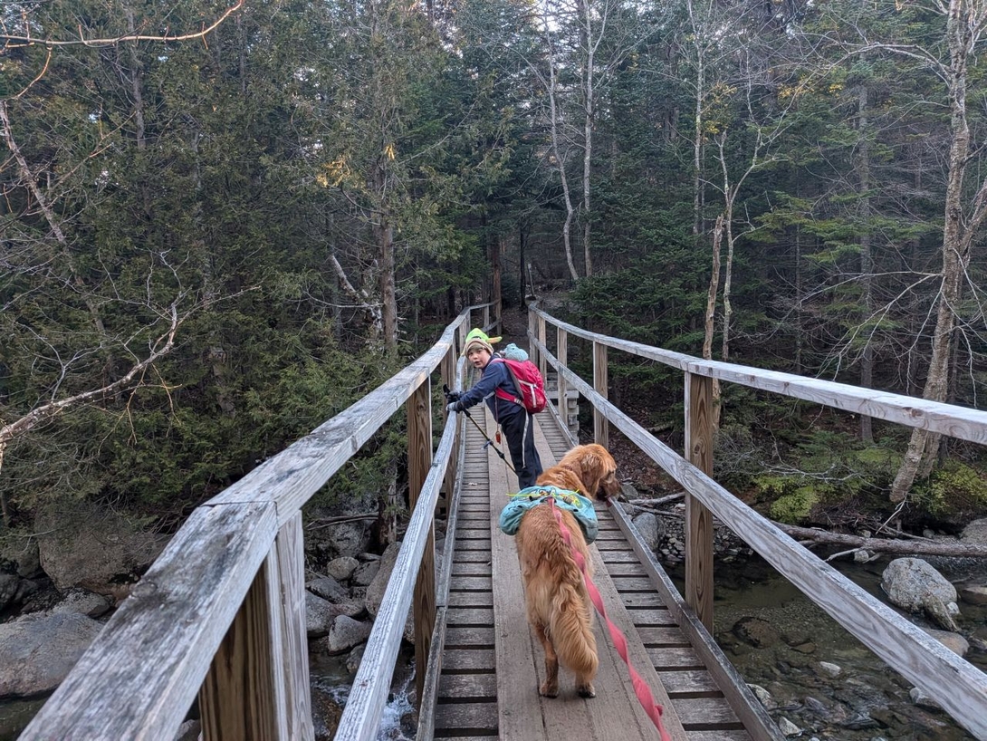 using the bridge