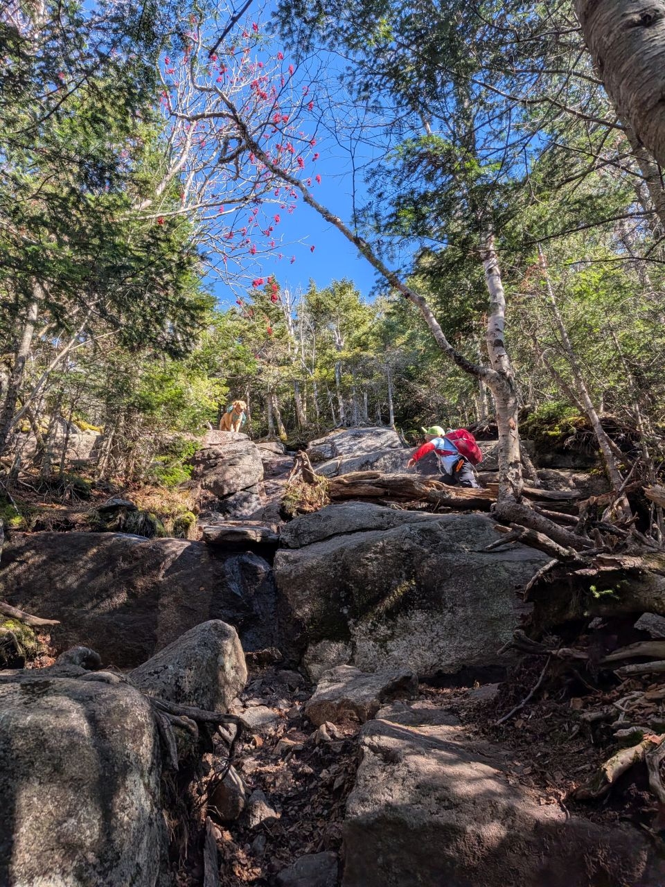 more climbing