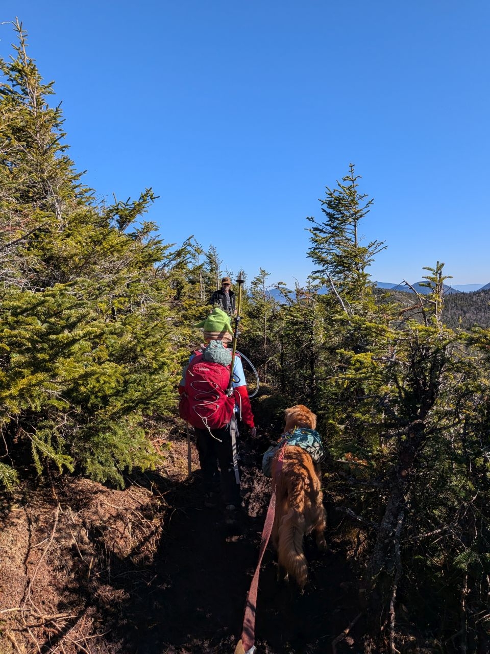 the trail to the summit