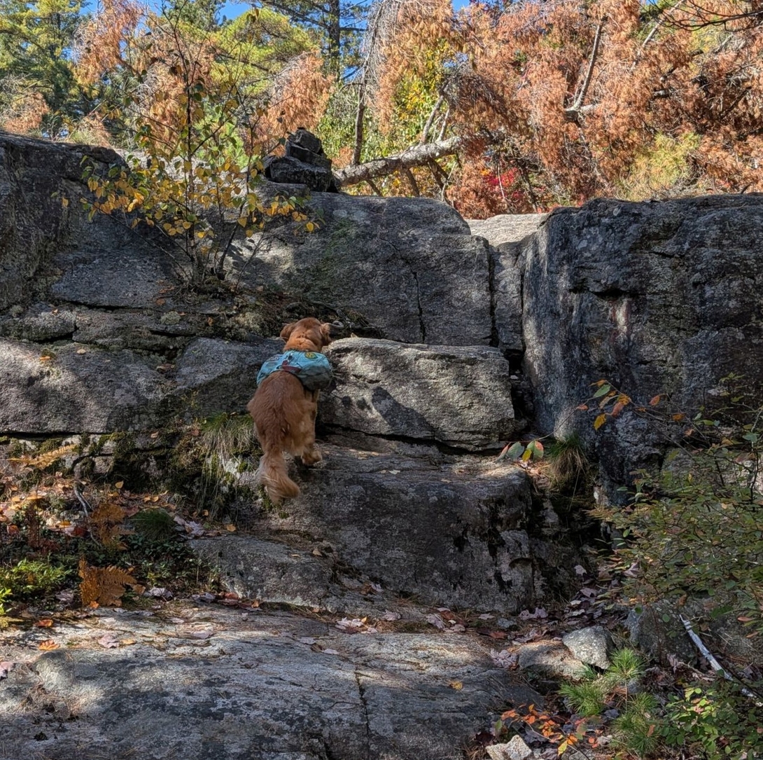 climbing